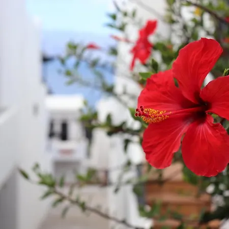 Casa Lina *